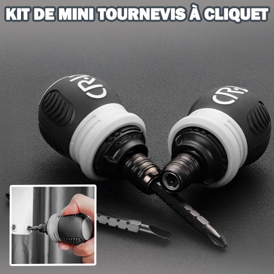 mini-tournevis-a-cliquet-pratique